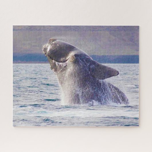 Juiste walvis Jigzaag Puzzle Legpuzzel (Horizontaal)
