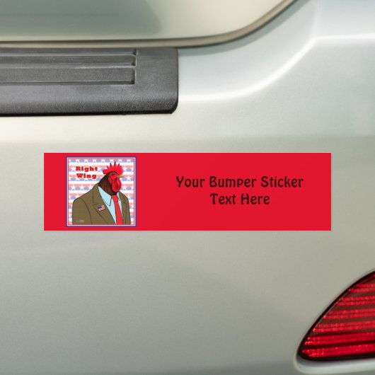 Juiste wasmachine bumpersticker (Op auto)