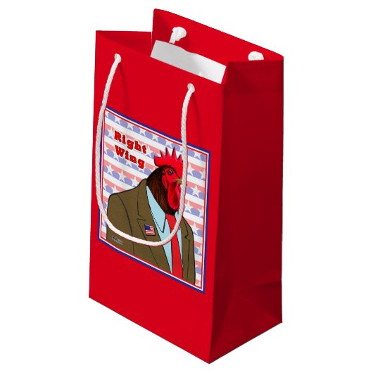 Juiste wasmachine klein cadeauzakje (Achterkant Gekanteld)