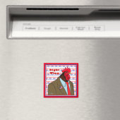 Juiste wasmachine magneet (Insitu (Vaatwasser))