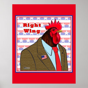 Juiste wasmachine poster