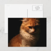 Jule Briefkaart (Voorkant / Achterkant)