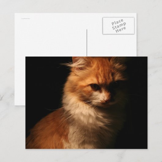 Jule Briefkaart (Voorkant / Achterkant)