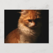 Jule Briefkaart (Voorkant)