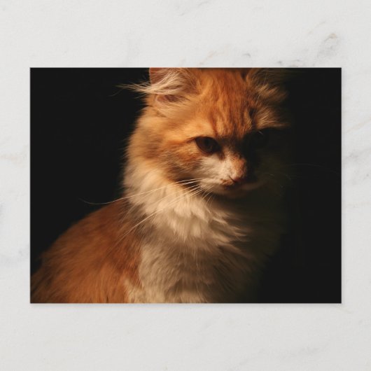 Jule Briefkaart (Voorkant)