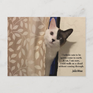 Jules Verne Cat Quote Briefkaart