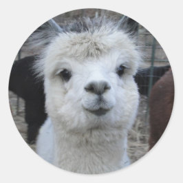 Jules Verne Ronde Sticker