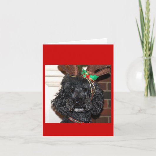 Jules Yule. Feestdagen Kaart (Voorkant)