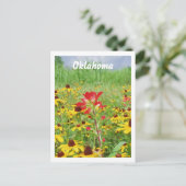 juli 2007 Indische schildpad, Oklahoma Briefkaart (Staand voorkant)
