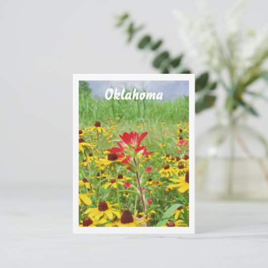 juli 2007 Indische schildpad, Oklahoma Briefkaart (Staand voorkant)