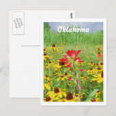 juli 2007 Indische schildpad, Oklahoma Briefkaart (Voorkant / Achterkant)