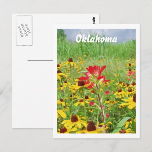 juli 2007 Indische schildpad, Oklahoma Briefkaart (Voorkant / Achterkant)