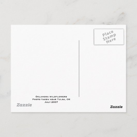 juli 2007 Indische schildpad, Oklahoma Briefkaart (Achterkant)