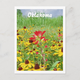 juli 2007 Indische schildpad, Oklahoma Briefkaart