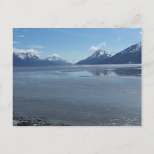 Juli 2008 Buiten Girdwood Alaska Cook Inlet Briefkaart