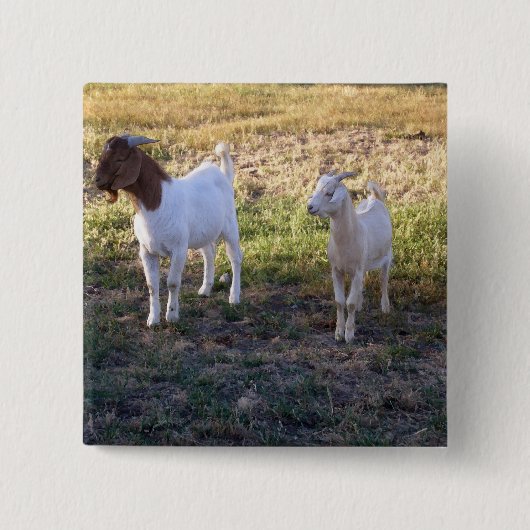 Juli 2008_TwoGoats_v2 Vierkante Button 5,1 Cm (Voorkant)