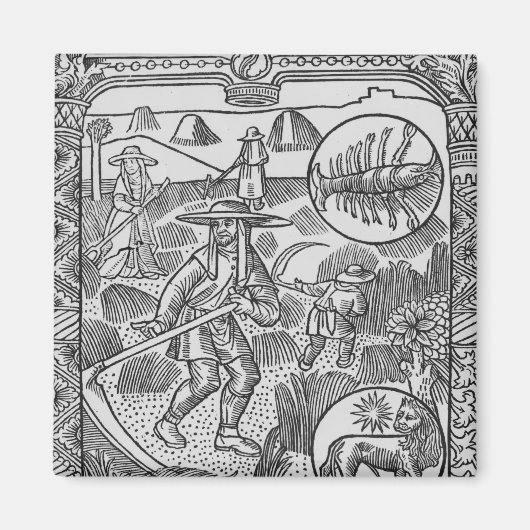 Juli, hooi, kanker magneet (Voorkant)