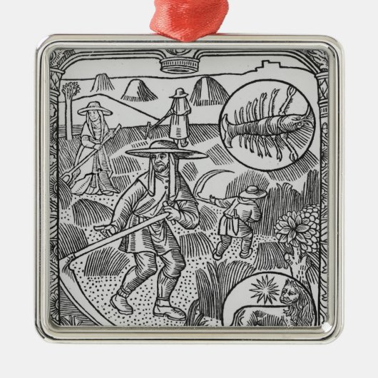 Juli, hooi, kanker metalen ornament (Voorkant)