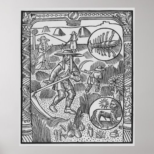 Juli, hooi, kanker poster (Voorkant)