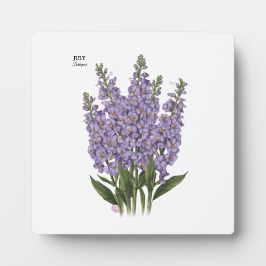 Juli Larkspur Bloom - Gepersonaliseerd verjaardags Fotoplaat (Voorkant)
