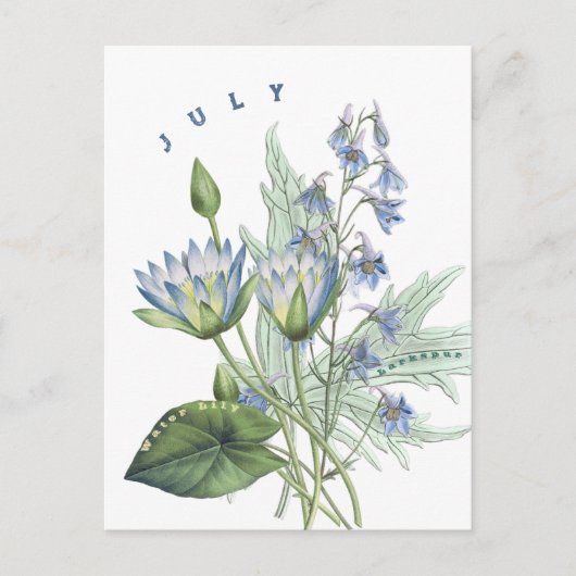 Juli Maand Bloemen Larkspur en Waterlelie | Briefkaart (Voorkant)