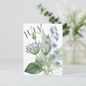 Juli Maand Bloemen Larkspur Water Lily Fancy Briefkaart (Staand voorkant)