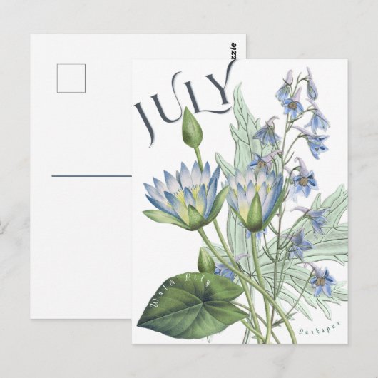 Juli Maand Bloemen Larkspur Water Lily Fancy Briefkaart (Voorkant / Achterkant)
