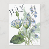 Juli Maand Bloemen Larkspur Water Lily Fancy Briefkaart (Voorkant)