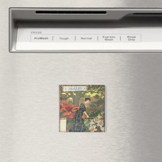 juli magneet (Insitu (Vaatwasser))