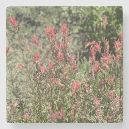 Juli Rock Show Stenen Onderzetter