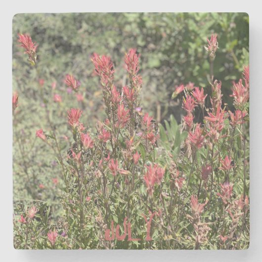 Juli Rock Show Stenen Onderzetter (Voorkant)