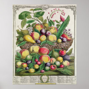 Juli, 'Twaalf maanden fruit' Poster