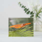 Julia butterfly op briefkaart blad (Staand voorkant)