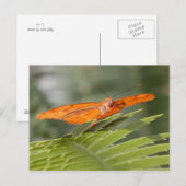 Julia butterfly op briefkaart blad (Voorkant / Achterkant)