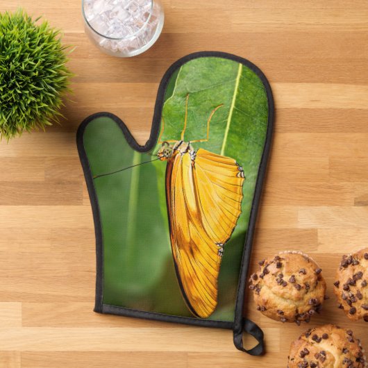 Julia Butterfly  Ovenwant (Top down)