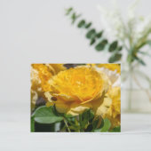 Julia Child Rose Briefkaart (Staand voorkant)