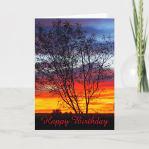 Julia Creek sunset silhouette blanco verjaardagska Kaart