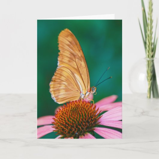 Julia Kaart (Voorkant)