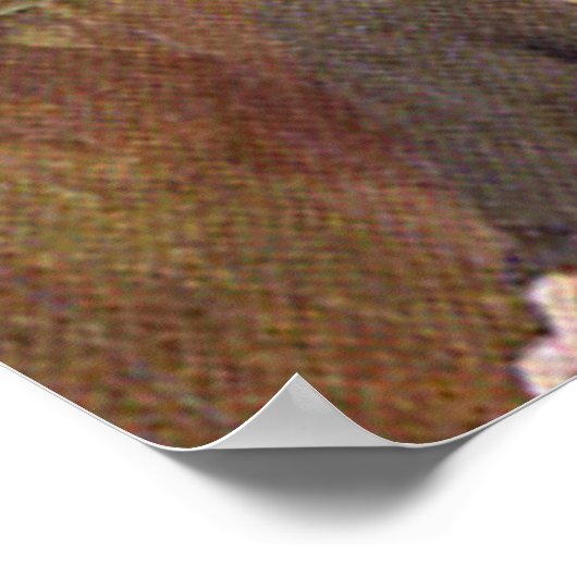 Julia Ward How Faith/Fear Quote Wisdom Poster (Hoek)