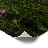 Julian Alps Uitzicht Poster (Hoek)