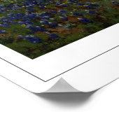 Julian Onderdonk Zedign Art Poster #28 (Hoek)