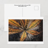 Julie de Graag-Briefkaart Briefkaart (Voorkant / Achterkant)