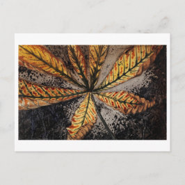 Julie de Graag-Briefkaart Briefkaart