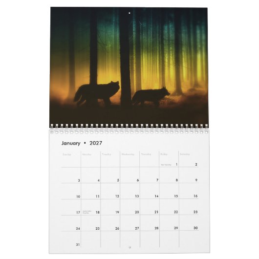 Julie Fain Fantasy Silhouettes Art Calendar Kalender (Jan 2027)