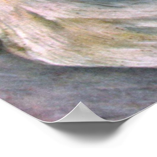 Julie Manet (kind met kat) Renoir Poster (Hoek)