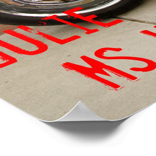 Julie, Ms High Desert-BIrds of Prey 2008 Poster (Hoek)