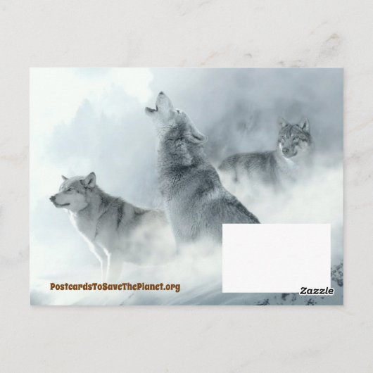 Julien, Francois en het Full Moon Pack Briefkaart (Achterkant)