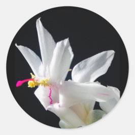 Julie's kerstcactus ronde sticker