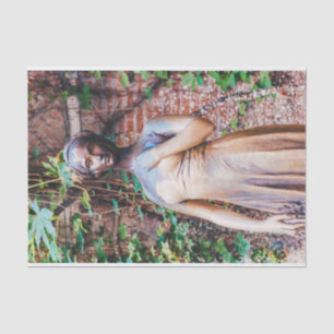 Juliet standbeeld, Verona, Italië Tissuepapier