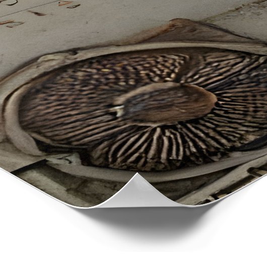 Julius Caesar: Der unsterbliche Imperator Poster (Hoek)